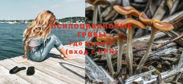 MDMA Алексеевка