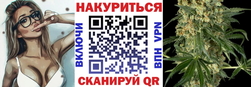 Каннабис OG Kush  Ахтубинск 